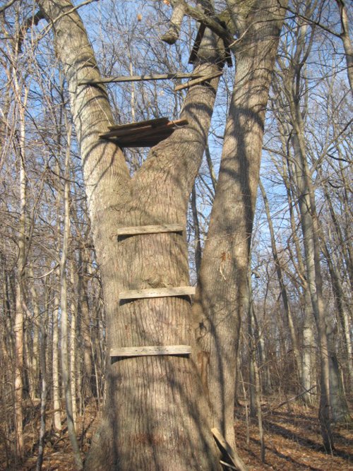 Property photo 5 - 44 Acres Offered in 3 Tracts